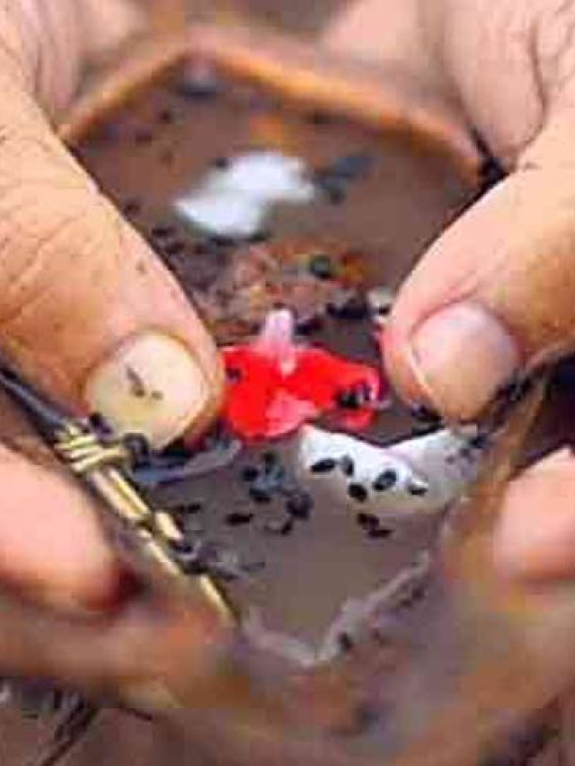 पितृ पक्ष में ऐसे करें तर्पण, आशीर्वाद देंगे पूर्वज